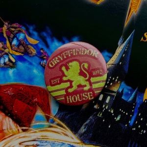 HARRY POTTER HOUSE PIN